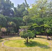 九龍城的特色公園