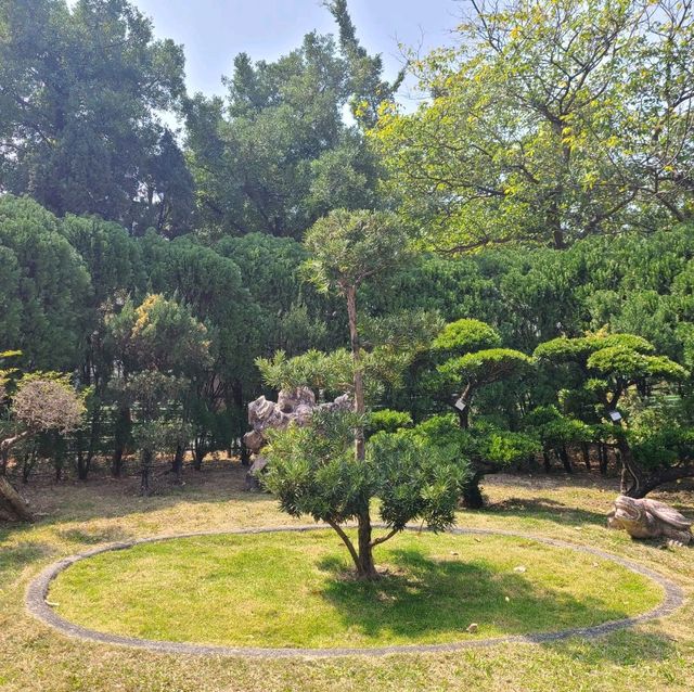 九龍城的特色公園