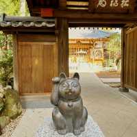 Lucky cat lucky charm Gotoku-ji Tokyo