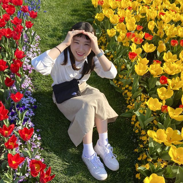 “2023순천만국제정원박람회” 보러 순천만국가정원으로~