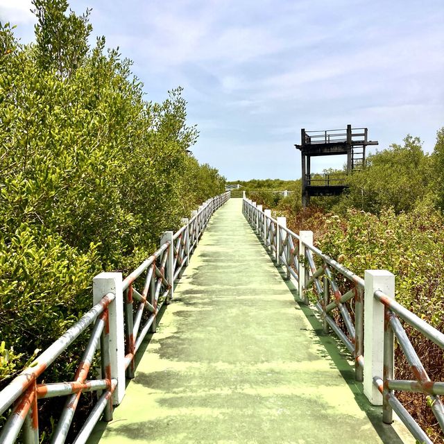 The Natural Trail