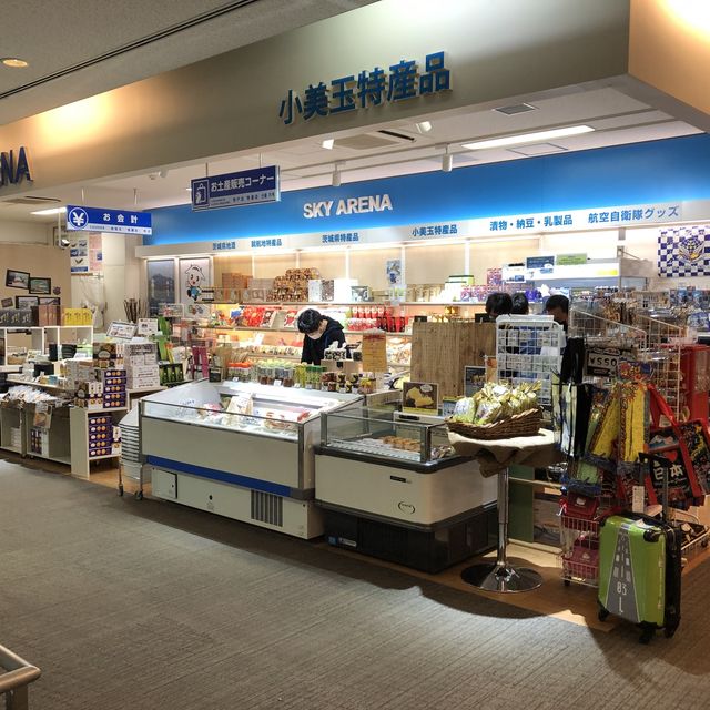 茨城空港を軽く紹介します。