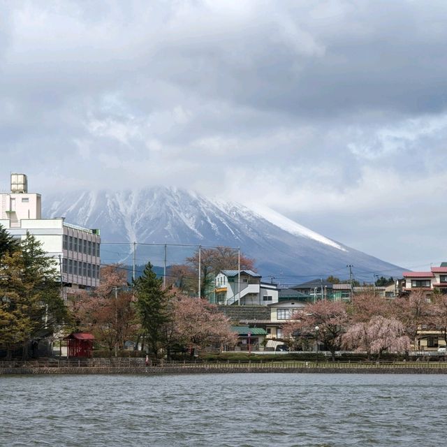Blossoms, Ducks, Mount Iwate: Tale of Takematsu Pond