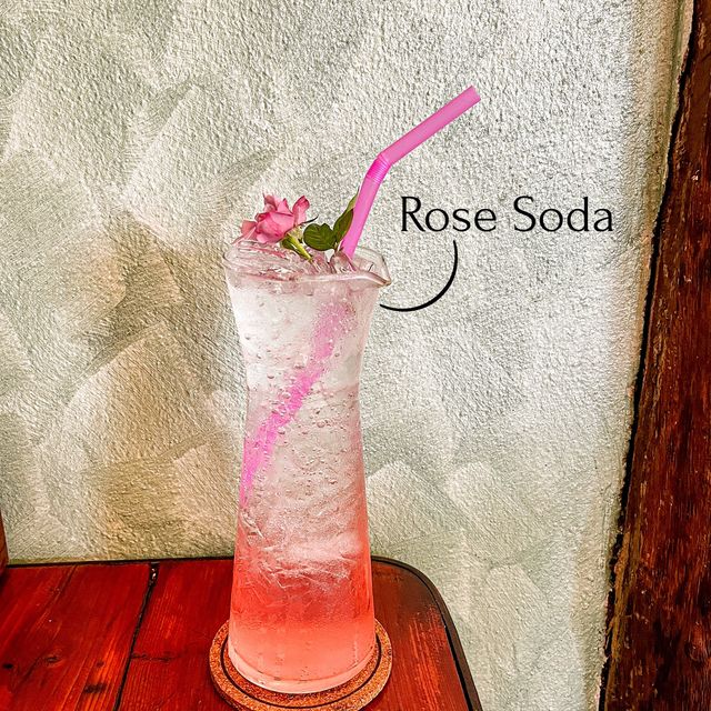Rose Mania - Chiang Mai