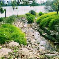 Bask in nature at Jurong Lake Gardens !