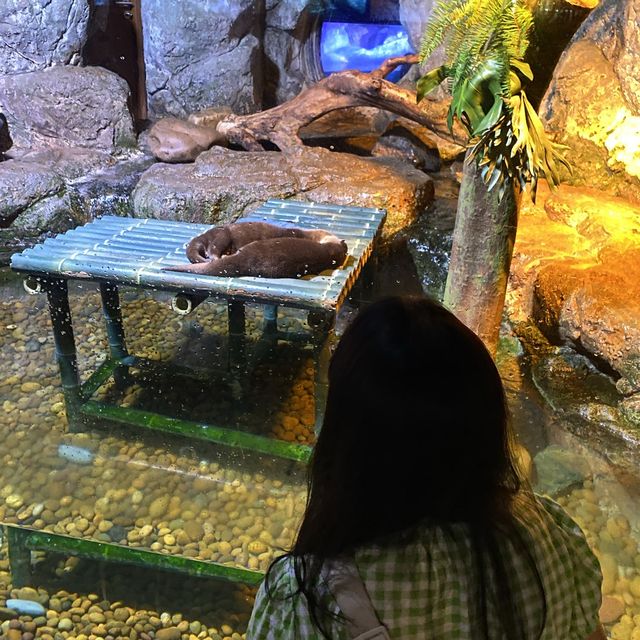 ไปเดทที่ไหนดี? ไป SEA LIFE Bangkok กันค่ะ 🫧🐠