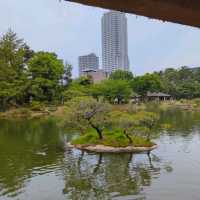 【広島の穴場スポット】国指定名勝「縮景園」