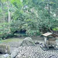 日本一長い参道@氷川神社
