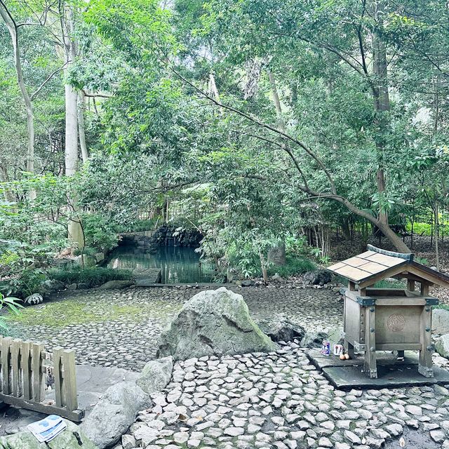 日本一長い参道@氷川神社
