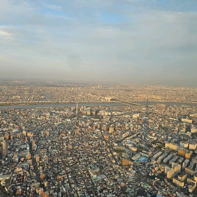 東京必到景點晴空塔🗼