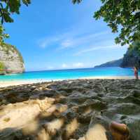 ❤️Kelingking Beach,Nusa Penida @Bali