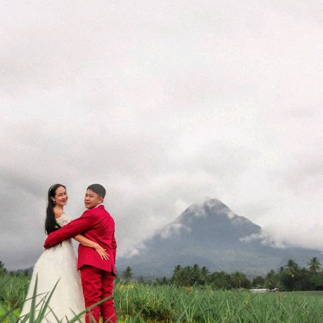 my sister wedding