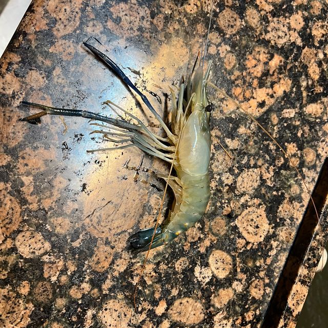 【台湾/台北】観光者でも楽しめる地元のエビ釣り店「全佳樂釣蝦場」