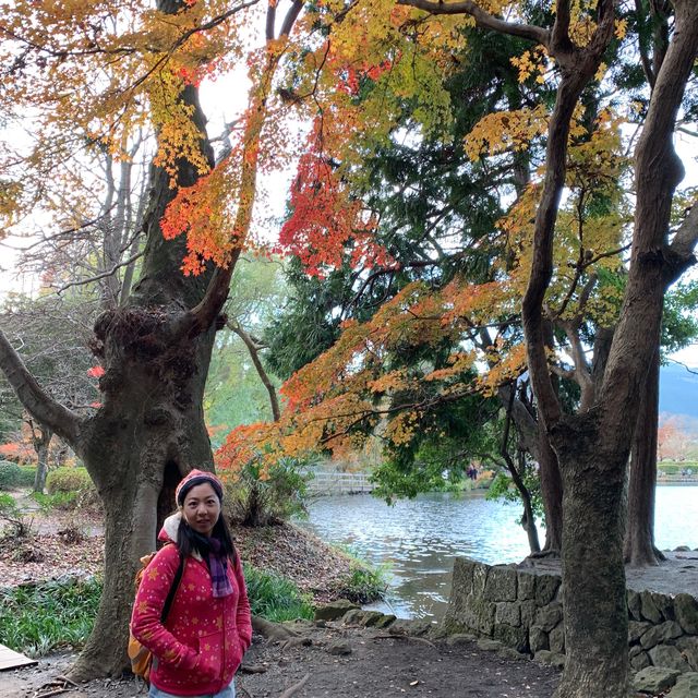 由布院金鱗湖🍁🍂紅葉季美得醉人