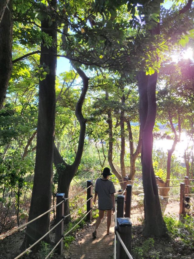 진하해수욕장 가면 여기도 꼭! 무인도 명선도🏝