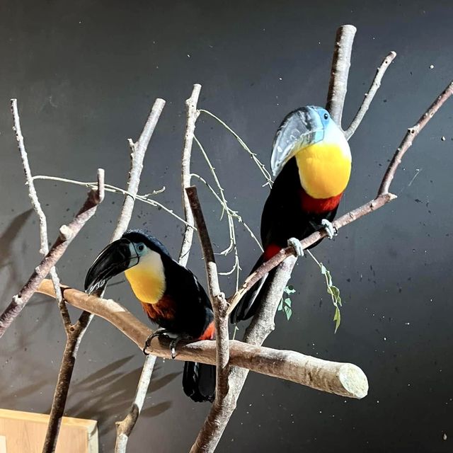 DMM Kariyushi水族館-將科技融入水族館內
