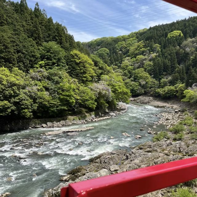 嵐山小火車：穿越童話世界！🚂🌸🌳