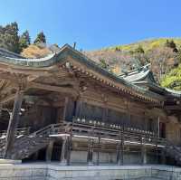 神秘古社：函館八幡宮！⛩️🌸🙏