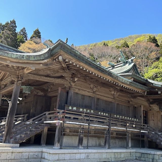 神秘古社：函館八幡宮！⛩️🌸🙏