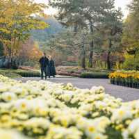 Autumn Festival Daegu Arboretum 