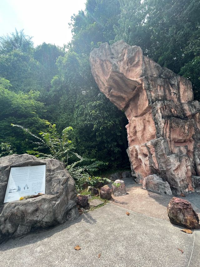 🇸🇬Labrador Nature Reserve 💦🌊