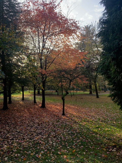 Autumn has arrived, so here are the best spots in Cardiff for