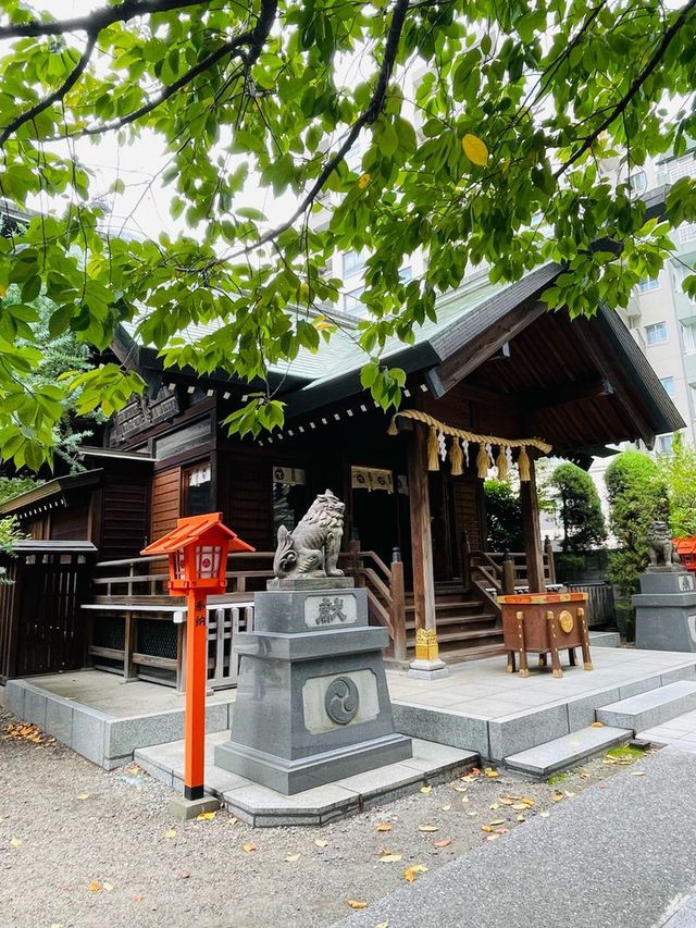 【東京都/蔵前神社】ミモザ咲かない緑豊かな境内