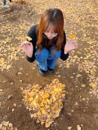 この時期におすすめ🧡秋ピクニックもうした？☺️🍁🍂🧺【東京・代々木公園】