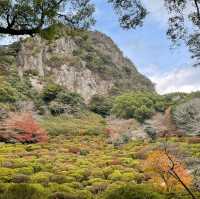 推薦御船山樂園賞楓遊：優惠晚上入場，適合秋天晚上賞楓