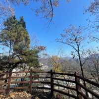 Dayang South Korea in Autumn