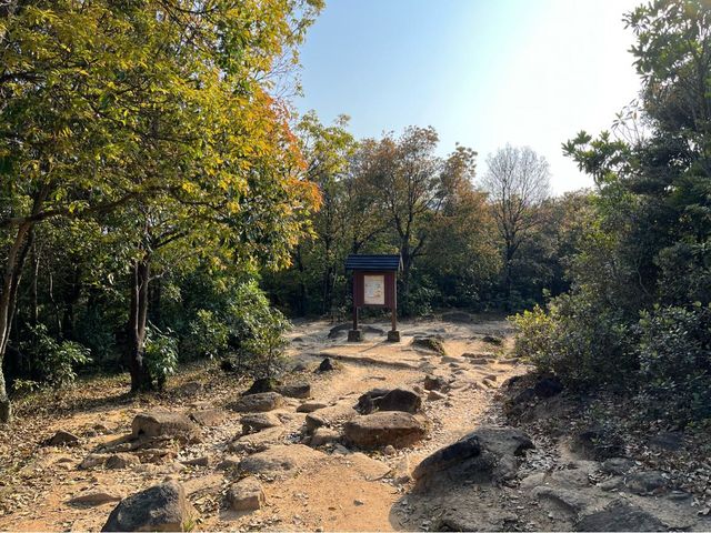 挑戰成功！由馬鞍山村出發行上昂平草原