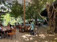 ร้านอร่อย บรรยากาศเหมือนทานในป่า ร่มรื่นมาก