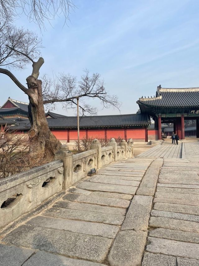 창덕궁 구석구석 알아보기/꿀팁/입장료/무료입장하는 법