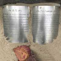 Educational/Storey Telling at Cafeteria Beach