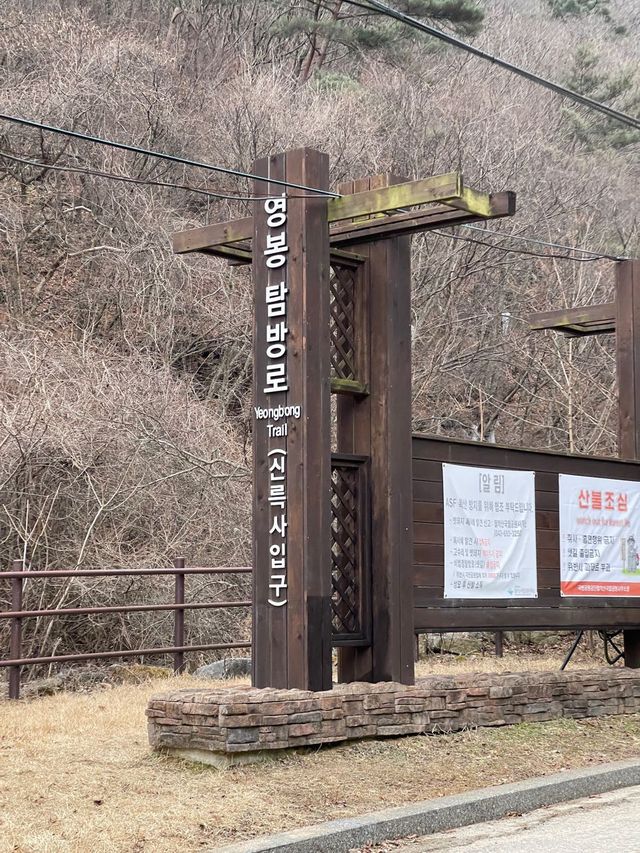 월악산국립공원 ⛰️ 충북 자연 관광지