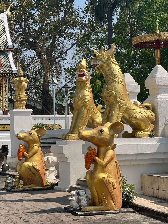 วัดจอมทองเชียงใหม่ วัดประจำคนเกิดปีชวด🙏🏼✨🐁