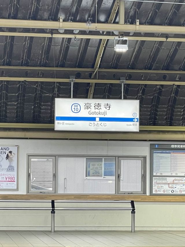 🇯🇵東京🫶🏻愛貓之人必去地方🐱❤️豪德寺📸