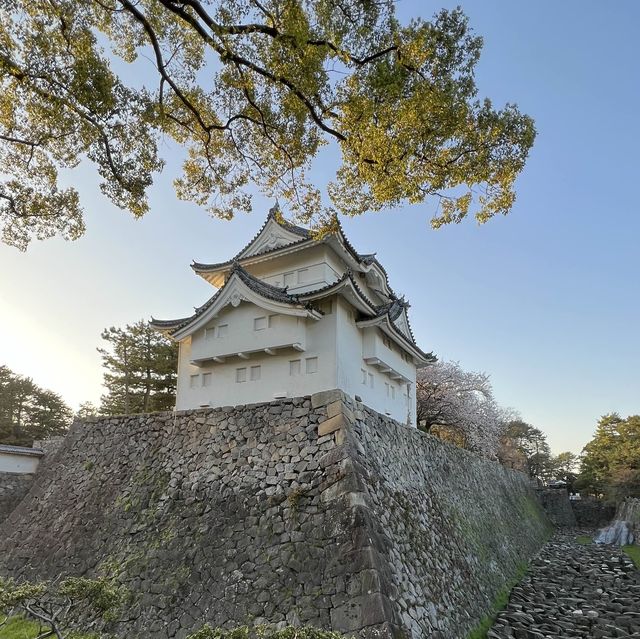 Special Heritage Site - Nagoya castle lightup