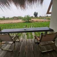 หลบร้อน​ มาผ่อนคลายที่ฟาร์มคาเฟ่​ บุรีรัมย์