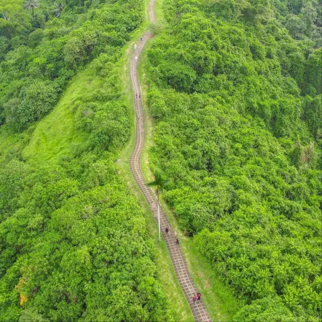 The Campuhan Ridge Walk