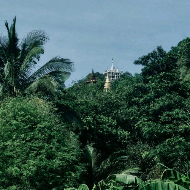อุทยานธรรมเขานาในหลวง สุราษฎร์ธานี