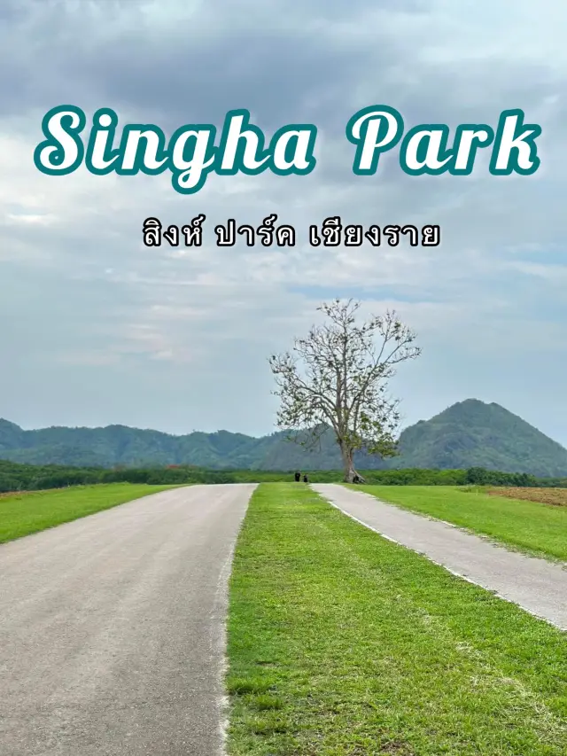 Singha Park Chiangrai 