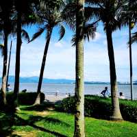 深圳灣公園• 濱海休閒帶