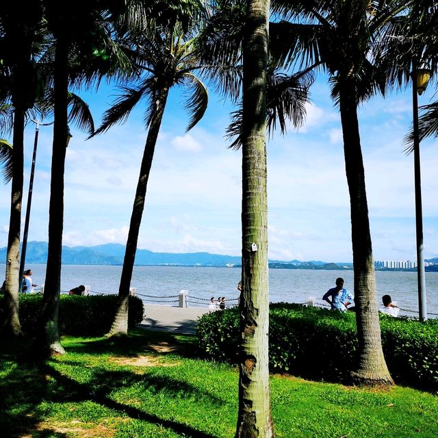 深圳灣公園• 濱海休閒帶
