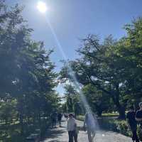Motorikyu Nijo castle garden 