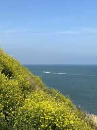 แนะนำพิกัดที่เที่ยวปูซาน Oryukdo Skywalk 🌼🌿🌊