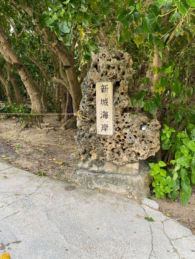 【沖縄・宮古島】オススメの海・ビーチ厳選３選💎 