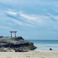 追尋神秘！白浜神社的神聖之境！⛩️🌊🙏