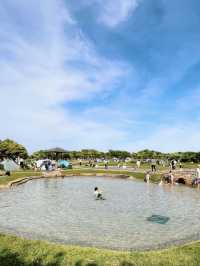 河畔的天堂！多摩川河川健康公園的清涼冒險！🌊🌳🌼