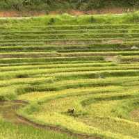 Weekend in Pu Luong retreat.